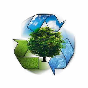 Meio Ambiente e Preservação